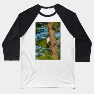 Shallotte Heron Baseball T-Shirt